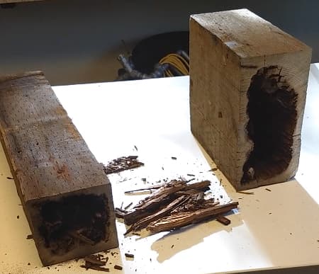 Pressure-treated wood rot